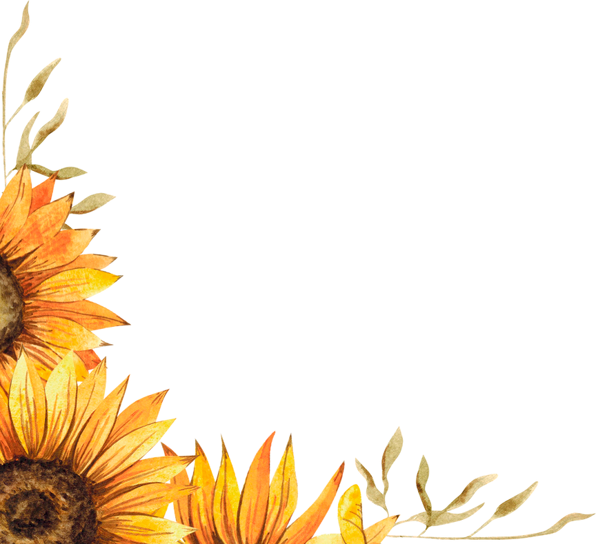 sunflowers frame
